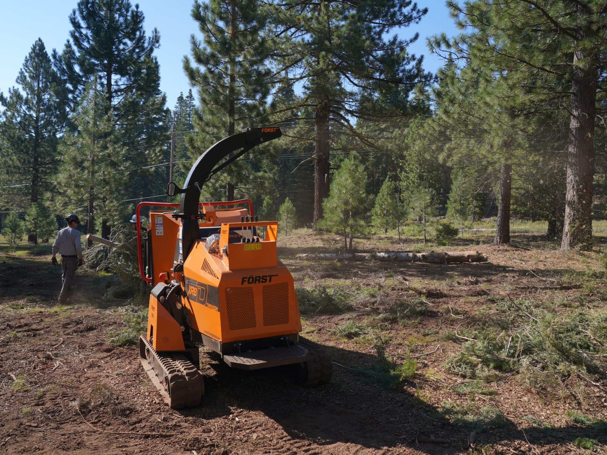 Först commercial wood chipper working a fuel reduction job in pine forest